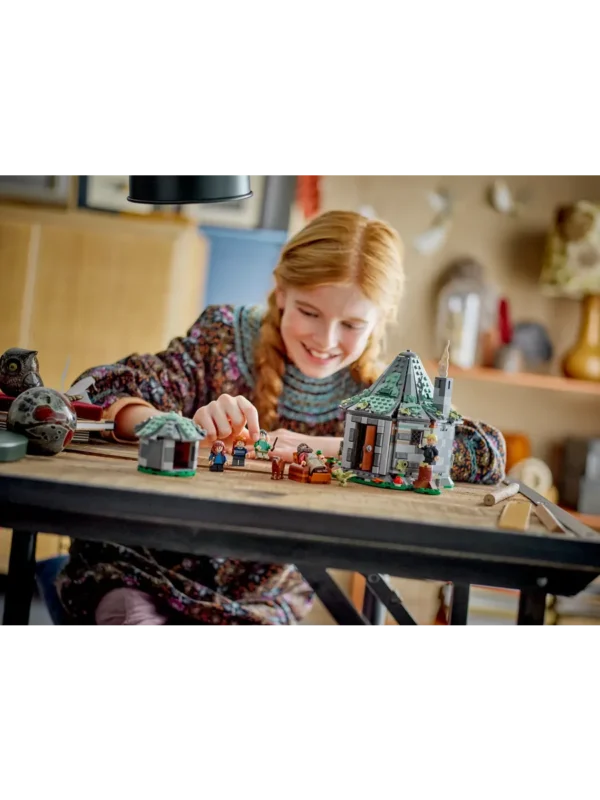 Lego 76428 Гарри Поттер Хижина Хагрида: неожиданный визит