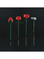 Lego 10328 Icons Букет роз - Image 10