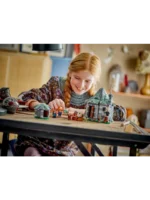 Lego 76428 Гарри Поттер Хижина Хагрида: неожиданный визит - Image 2