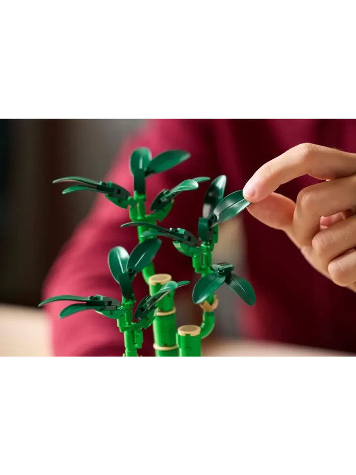 Lego 10344 Botanicals Бамбук удачи — изображение 2
