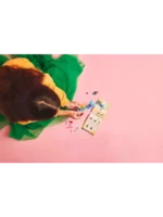 Lego 71488 DREAMZzz Приключения творческих животных Банчу - Image 4