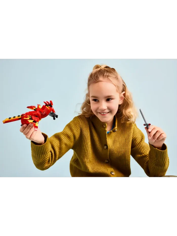 Lego 76448 Гарри Поттер Фоукс, феникс Дамблдора — изображение 5