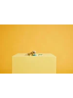 Lego 31162 Криэйтор Милый кролик - Image 6