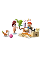 Lego 42641 Подружки Скутер и собаки-серфингисты — изображение 10