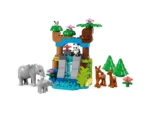 Lego 10446 Дупло Семьи диких животных 3в1 — изображение 8