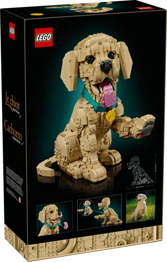 Lego 11384 Icons Щенок золотистого ретривера - Image 8