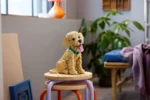 Lego 11384 Icons Щенок золотистого ретривера - Image 16